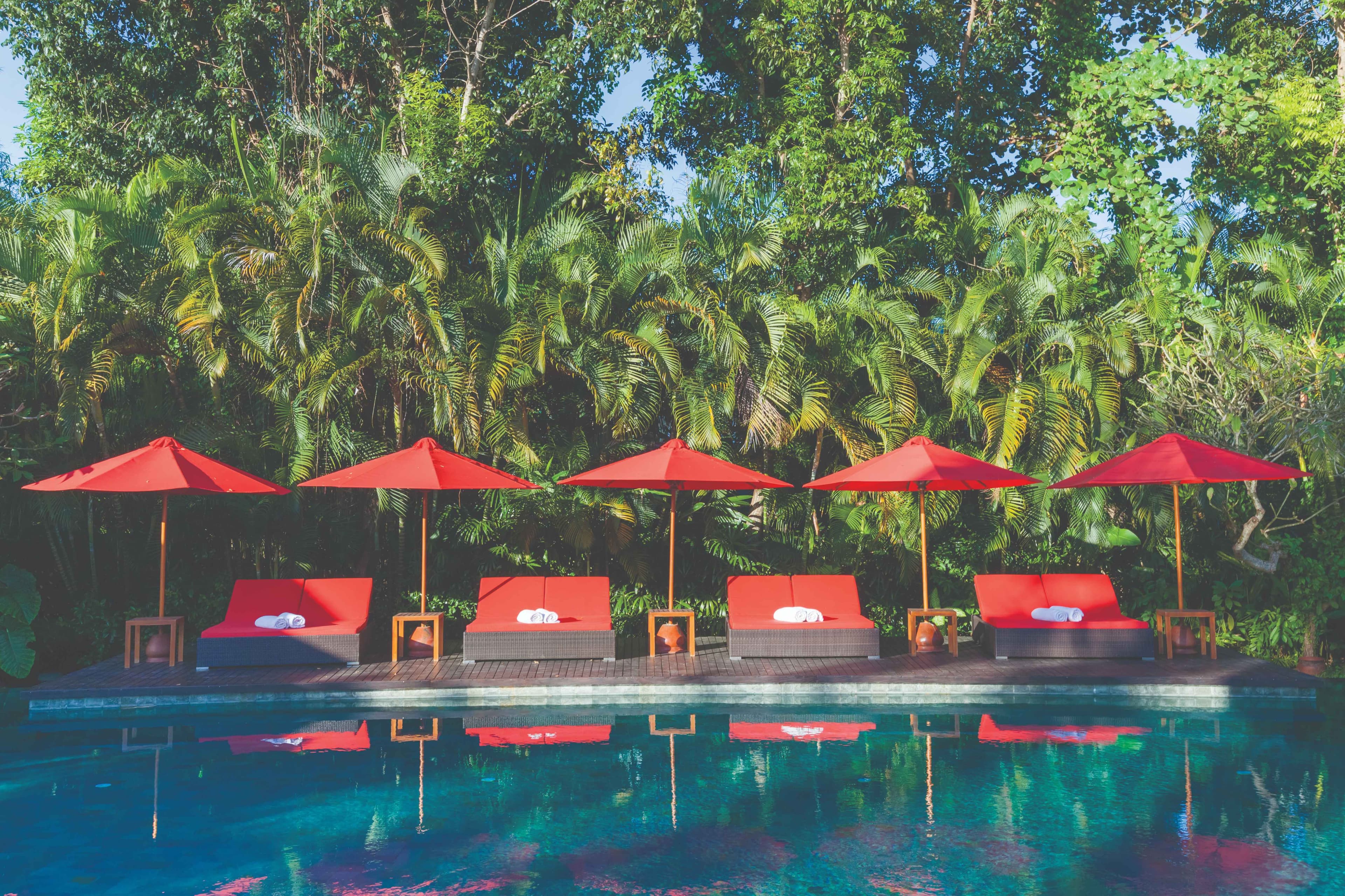 The Beji Get A Poolside Tan