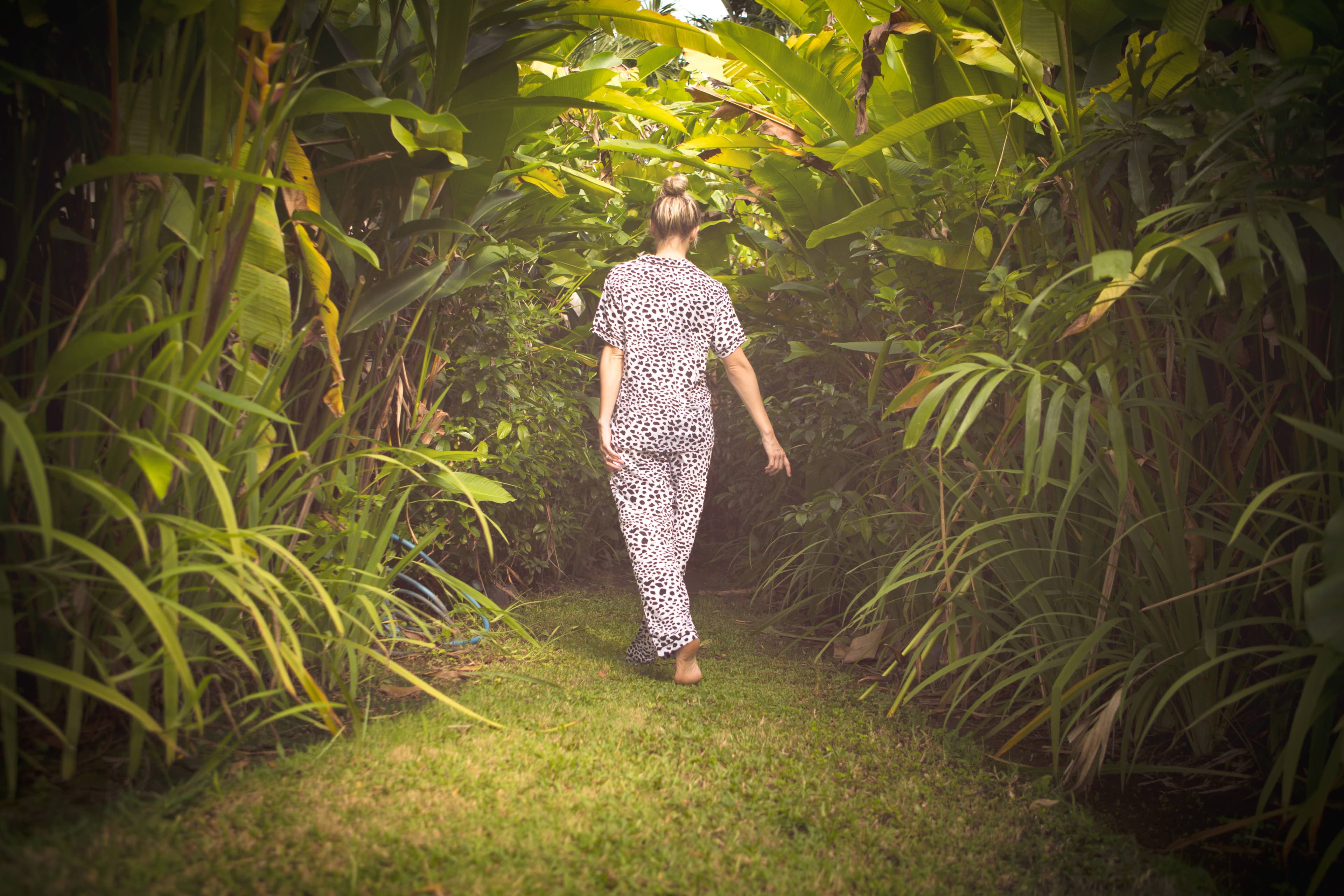 The Beji Tropical Breezes